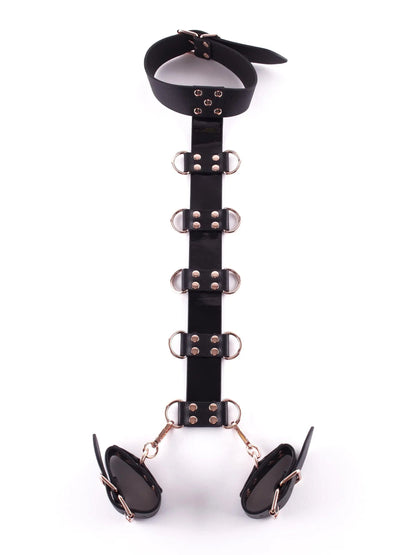Lacy Bliss™ Signature Faux Leather Neck to Wrist Restraint Lavah Intimates