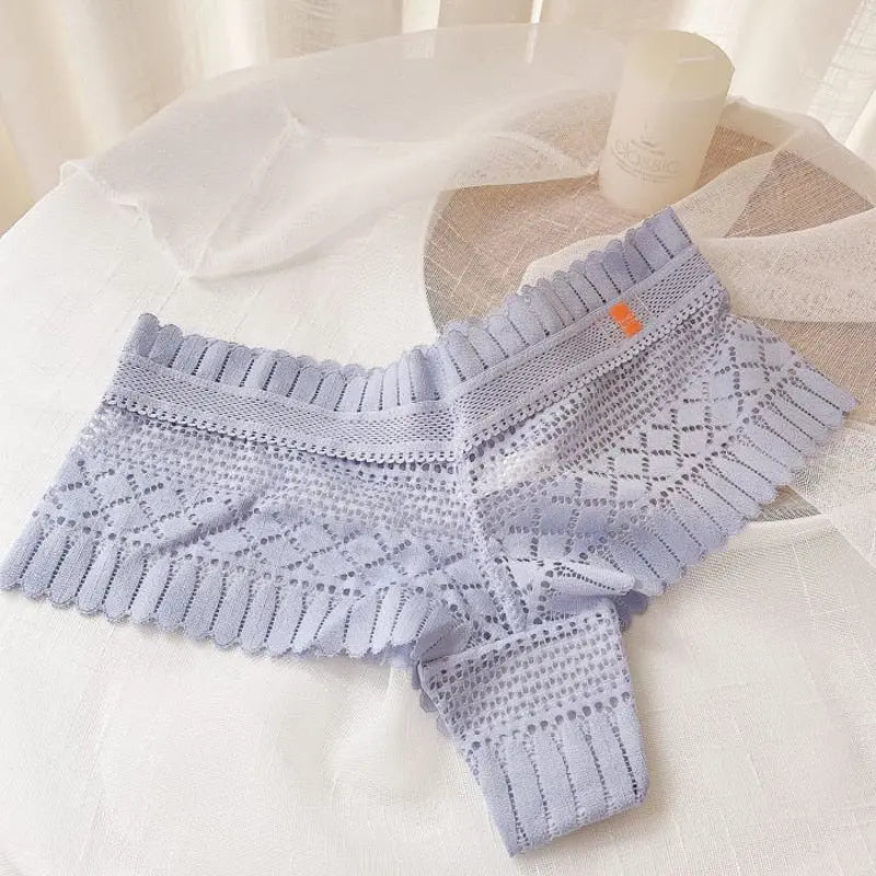 Can't Hide Or Pretend Briefs Lacy Bliss Panties