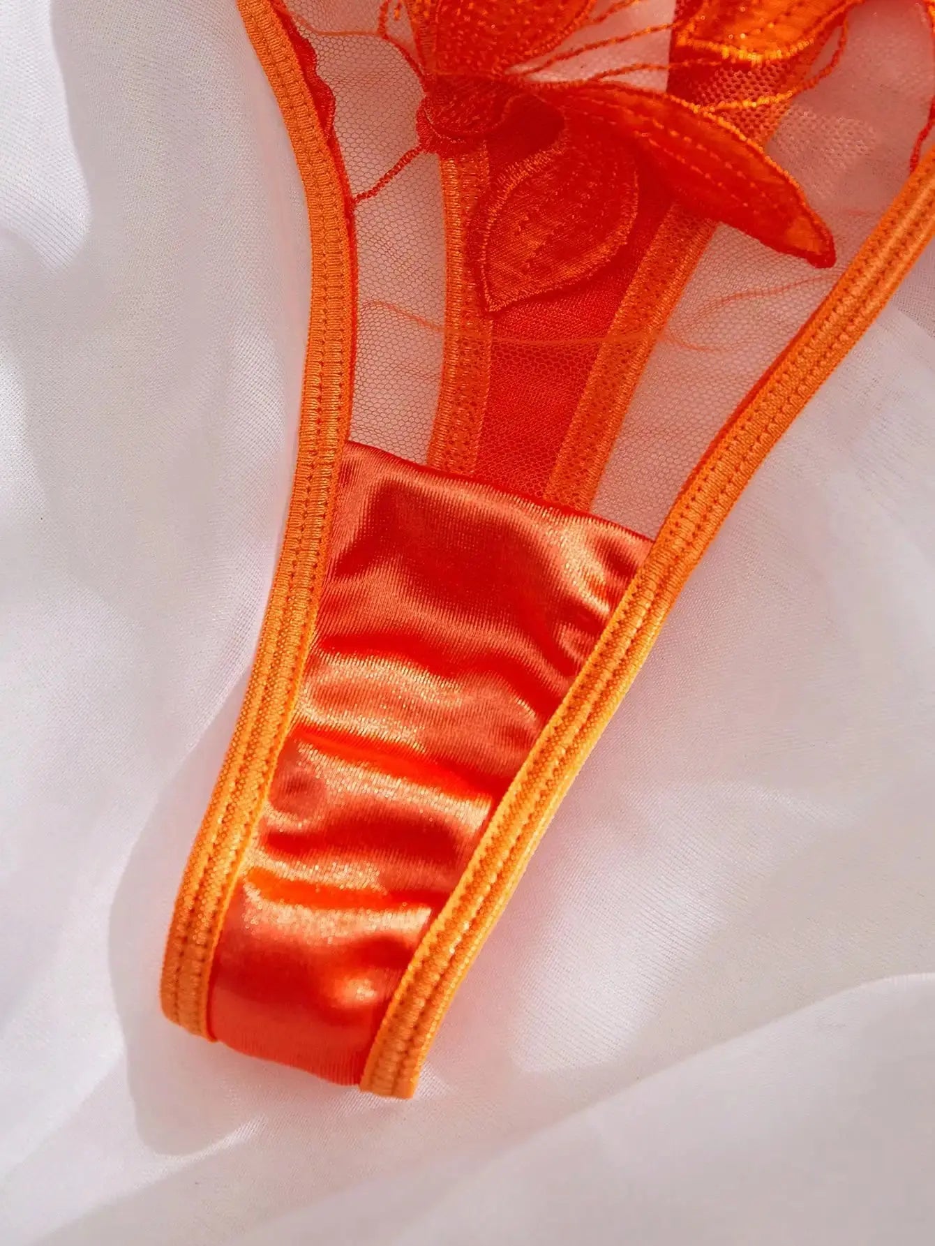 Hips Don't Lie Bra Set Lacy Bliss0212 Lingerie & Intimates