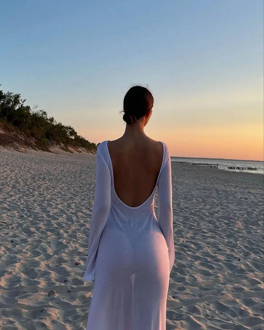 Sheer Backless Dress Lacy Bliss